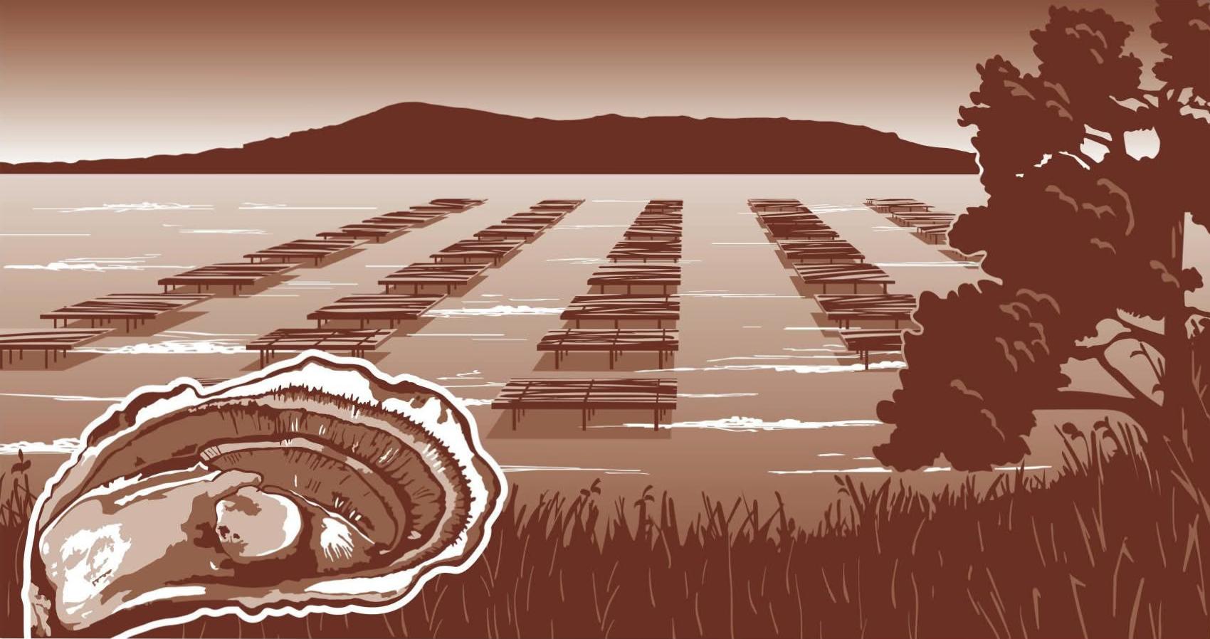 Photo du panneau : bassin de Thau